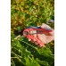 Секатор плоскостной ELITECH Garden PB 01