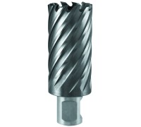 Фреза по металлу 20х55мм Weldon 19мм TCT Elitech 1110.009800