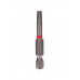 Биты TORX25 50 мм 2 шт. Elitech 1820.153100