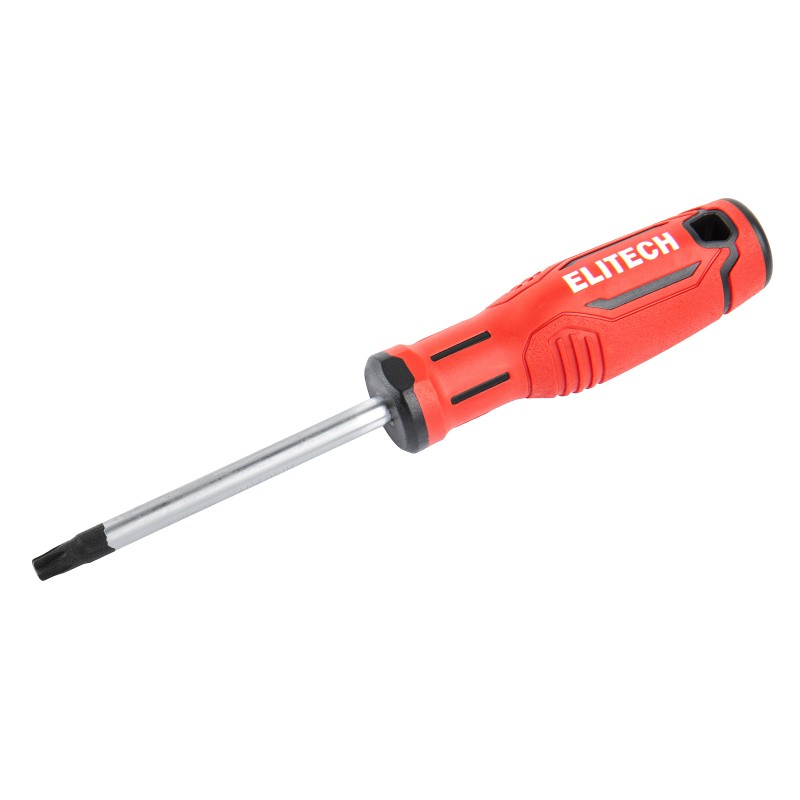Отвертка Elitech 211406 T40х100 мм